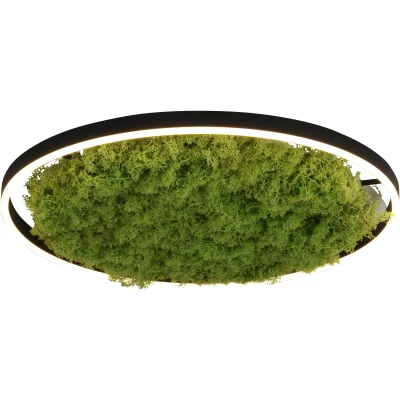 Imagen de JUST LIGHT. Lámpara de techo LED Green Ritus, musgo atenuable Ø39,3cm