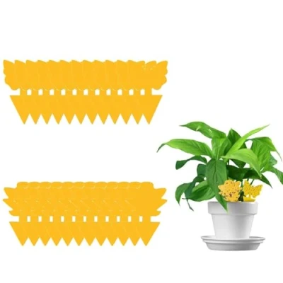 Imagen de AMZFUK Atrapa Moscas 24 Piezas,Trampa para Moscas,Trampas Adhesivas Amarillas Mosquitos Plantas de Interior y Exterior Control Plagas
