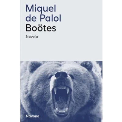 Imagen de Boötes (SERIE M)
