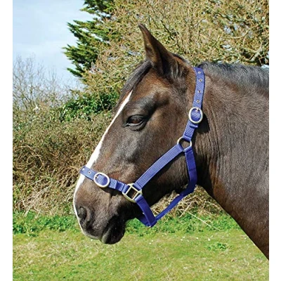 Imagen de Rhinegold Nylon Headcollar COB Royal Blue Cuello de Nailon, Azul Real