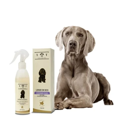 Imagen de Champù en Seco Natural para Perros, 250 ml Sin Necesidad de Agua ni Aclarado con Ingredientes Origen Vegetal Apto Todos los Tipos Pelo, Linea 101