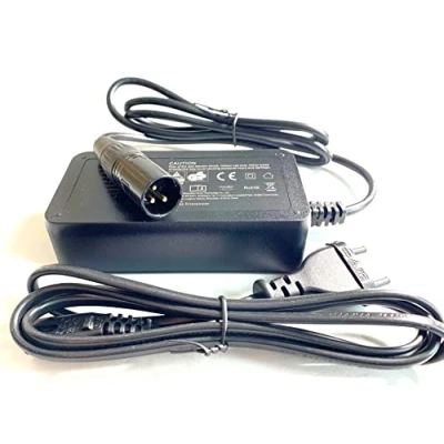 Imagen de Enerpower Cargador de ion litio 29,4 V 2 A CCCV para baterías Pedeec 24 con XLR 3 (CB, GS)