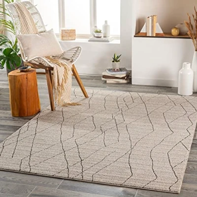 Imagen de Surya Alfombra Abstracta Durban Salón Grande, Habitación, Dormitorio Salon Pelo Corto, Suave y Lujosa Facil de Cuidar Grande 160x213cmAntracita, Beige