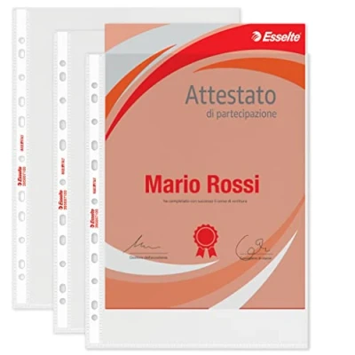 Imagen de Esselte 395697100 Portafolio de plástico (resistente al desgaste, paquete 50) ()