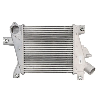 Imagen de THERMOTEC DA1012TT Intercooler NISSAN: X Trail