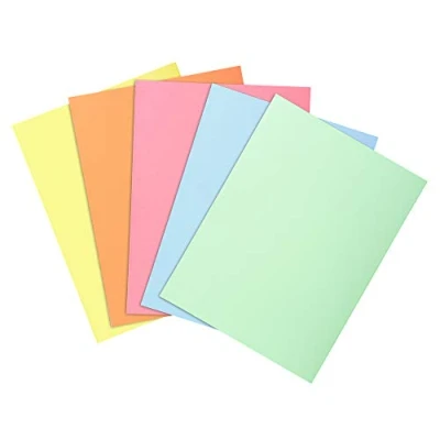 Imagen de Exacompta 850100E Lote de 100 Subcarpetas Super 60, Colores Surtidos