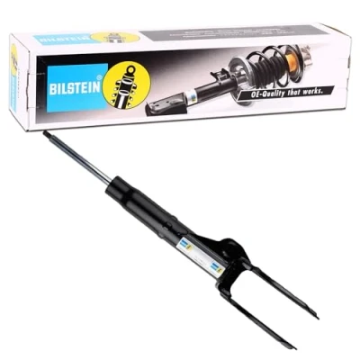 Imagen de Amortiguador BILSTEIN 19 189703