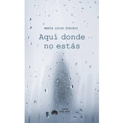 Imagen de Aquí donde no estás: 53 (Narrativa)
