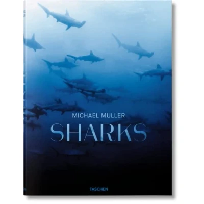 Imagen de Sharks, face to with the ocean&#039;s endangered predator