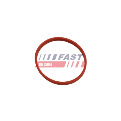 Imagen de FAST FT49868 Juntas