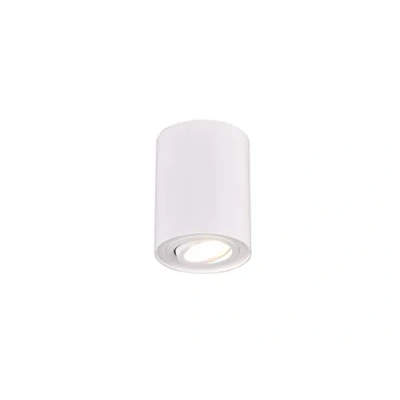 Imagen de Trio Leuchten Cookie 612900131 Lámpara de techo (metal, 1 bombilla GU10), color blanco mate