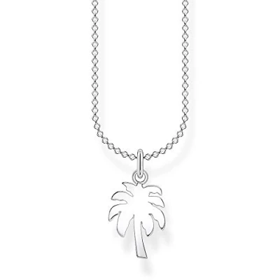 Imagen de Thomas Sabo Collares con Símbolo Plateado, Collar de Palmera