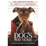 Imagen de A Dogs Way Home (film)