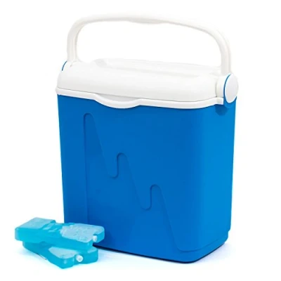 Imagen de Curver Nevera portátil con asa, Ideal para camping, playa, picnic, Capacidad 20 L, Color Azul