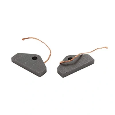 Imagen de Paxanpax PLD895 Compatible Miele Motor T410, T420, T430, T495, T530, T669, T223, T4123, T4888C, T247 Series Cepillos de carbón para montaje módulo secadora (9 mm x 30 4 mm, 2 unidades)
