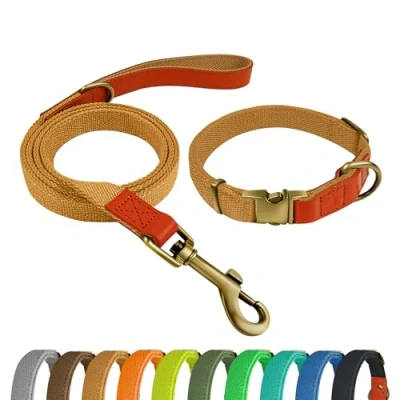 Imagen de Qianruida Collar y Correa Perro Conjunto de para Perros PequeñOs Medianos Grandes Caqui,M