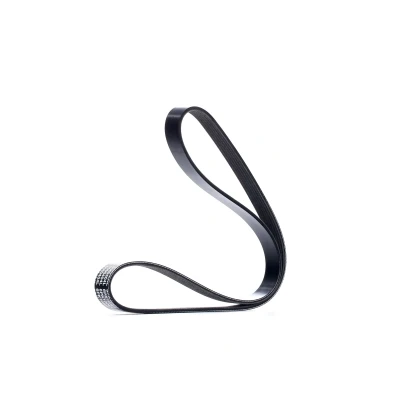 Imagen de DAYCO 6PK1026S Correa trapecial poli V 1026,0 6 AUDI: Q5, A4 B8 Avant, A5 Coupé, VOLKSWAGEN: Golf 7, Scirocco III, Tiguan I, SEAT: Toledo 4 norauto