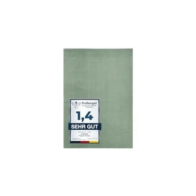 Imagen de andiamo Arezzo Alfombra para salón Comedor fácil de Limpiar, Elegante, acogedora, Monocolor, 80 x 150 cm, Color Verde Salvia