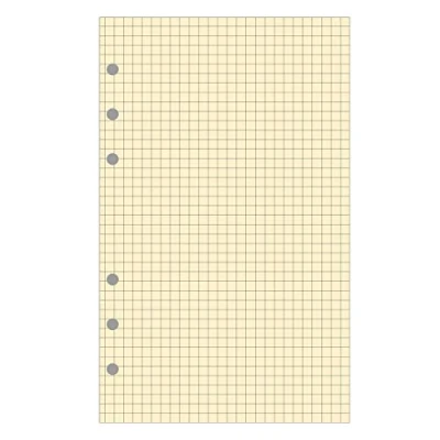 Imagen de Exacompta 18 Recambio de hojas cuadriculadas 5 x para agenda Exatime 17 ( 40 hojas, color Marfil