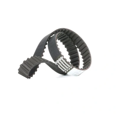 Imagen de CONTITECH CT1094 Correa de Distribucion 83 24 AUDI: A6 C6 Avant, A4 B7 Berlina, A5 B8 Sportback, VOLKSWAGEN: Touareg I norauto, oscaro, mister auto