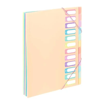 Imagen de Viquel Clasificador de documentos A4 con 12 compartimentos Rainbow Pastel