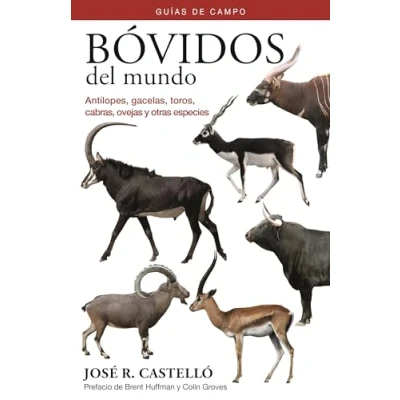 Imagen de Bóvidos DEL mundo: Antílopes, gazelas, toros, cabras, ovejas y otras especies (Spanish Edition) (GUIAS NATURALISTA)