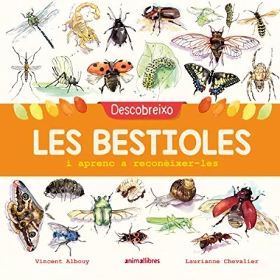 Imagen de Descobreixo les bestioles i aprenc a reconèixer les: 65 (La Biblioteca dels Ratolins)