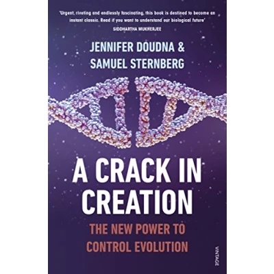 Imagen de A Crack In Creation