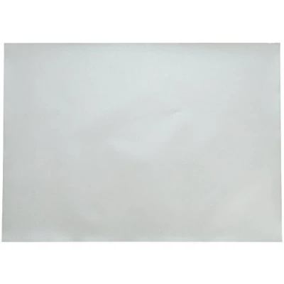 Imagen de Clairefontaine 397181 C Impresión Hojas Maya, 70.5 X 50.2 4 cm, plata