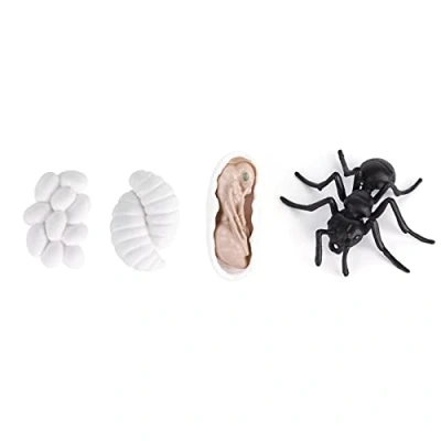 Imagen de Ciclo de Vida los Insectos, las Hormigas, Vinilo Multiusos, Apariencia Realista, Establo Práctico para la Educación Proyectos Escolares(Hormigas M4183 (50,5 g))