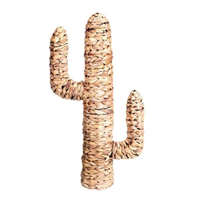 Imagen de Natural Living Cactus Jacinto de Agua (80 x 45 D15 cm)