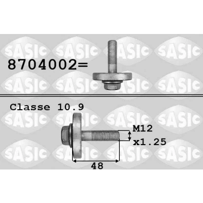 Imagen de SASIC 8704002 Tornillo de polea RENAULT: ESPACE 3, MEGANE 2, LAGUNA 2