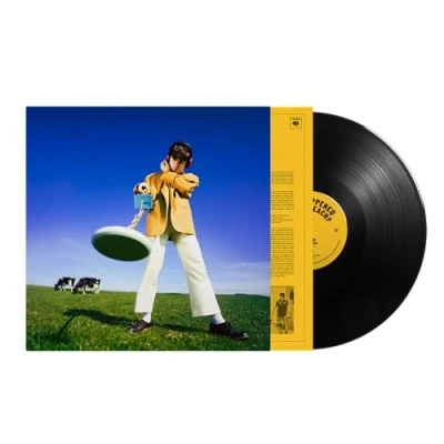 Imagen de What Happened To The Beach? [Vinilo]