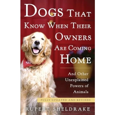 Imagen de Dogs That Know When Their Owners Are Coming Home (ebook)