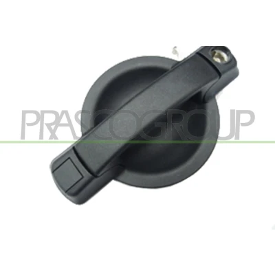 Imagen de PRASCO FT9088002 Manecilla de Puerta exterior, Delante, izquierda negro FIAT: Doblo I Cargo, Familiar