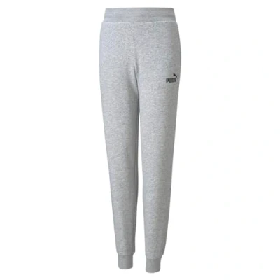 Imagen de PUMA Pantalón Marca Modelo ESS Sweatpants FL cl