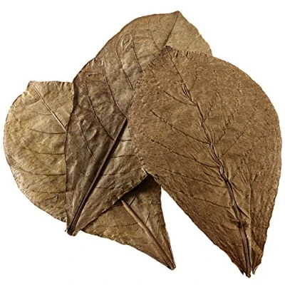 Imagen de Hobby Nano Catappa Leaves 51100 Lote de 12 Hojas