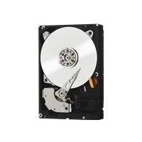 Imagen de WD RE WD2000FYYZ Disco duro interno de 3,5&quot; (2 TB, SATA 600, 7200 rpm, búfer 64 MB)