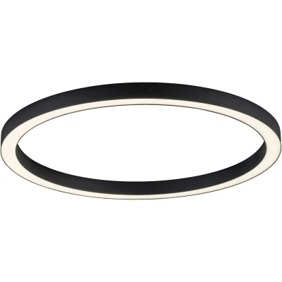 Imagen de Lámpara LED de techo PURE Lines, Ø 70 cm, antracita, CCT, control remoto