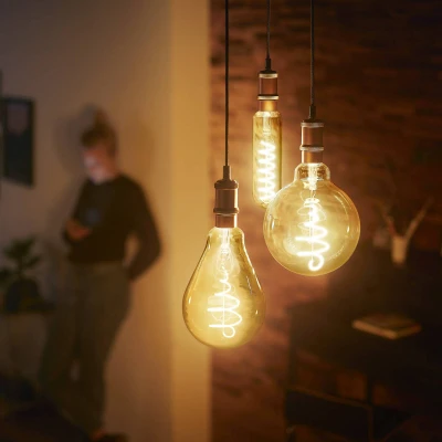 Imagen de Philips Bombilla LED Vintage Ámbar Tipo Globo G95, Casquillo E27 5.5W, 470 Lúmens, Luz Efecto Llama, 2200k