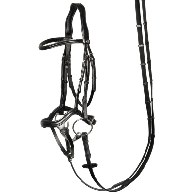 Imagen de Harry&#039;s Horse Bridle Anatomic