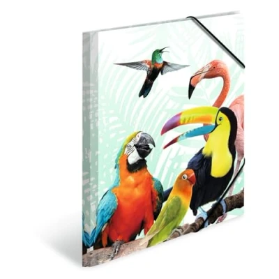 Imagen de HERMA 19959 carpetas A4 Animales Exóticos Tropenclique, 3 unidades, carpeta de esquina plástico para niños con impresión interior y banda elástica, juego resistente