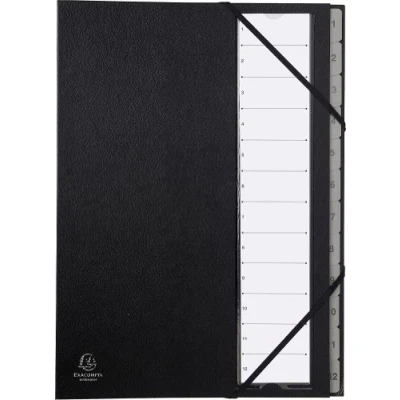 Imagen de Trieur rigide ordonator numerique dos extensible 12 compartiments 1 a