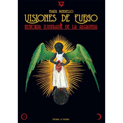Imagen de VISIONES DE FUEGO: HISTORIA ILUSTRADA LA ALQUIMIA: 76 (ZODIACO NEGRO)