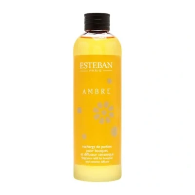Imagen de Ambre 250 ml Recambio Bouquet Esteban