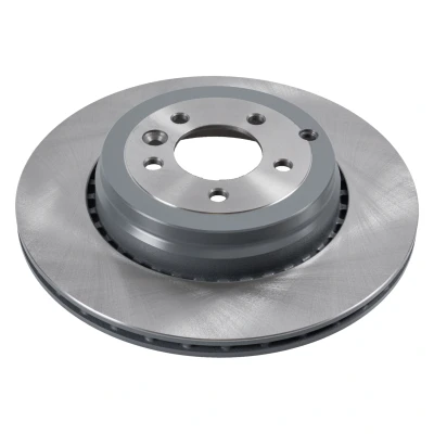 Imagen de FEBI BILSTEIN 170106 Disco de freno Eje trasero 365 20 5 120 ventilación interna revestido LAND ROVER: Range Rover Sport
