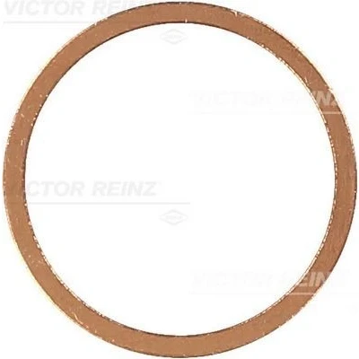 Imagen de REINZ 41 70245 00 Anillo obturador