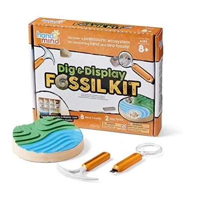 Imagen de Learning Resources Kit de excavación y exposición fósiles para niños entre 8 12 años, ciencias, verdad, guía repleta información