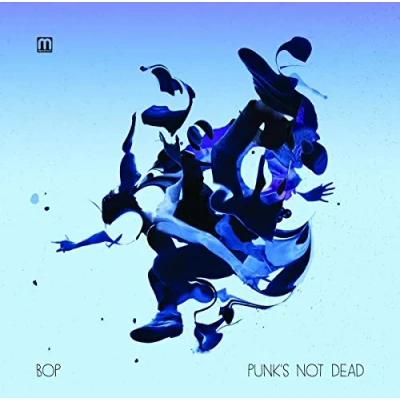 Imagen de Punk&#039;s Not Dead Single Vinilo