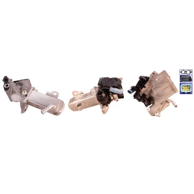 Imagen de DRI 717730086 Válvula EGR eléctrico con juntas, radiator PEUGEOT: 5008 I, 407 Berlina, 3008 CITROËN: C4 Picasso 1, C5 3, I Grand